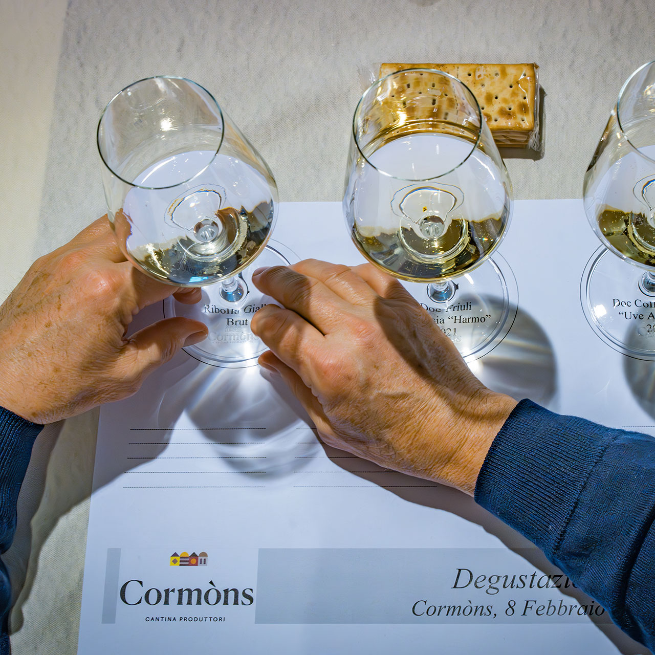 Wine Experience